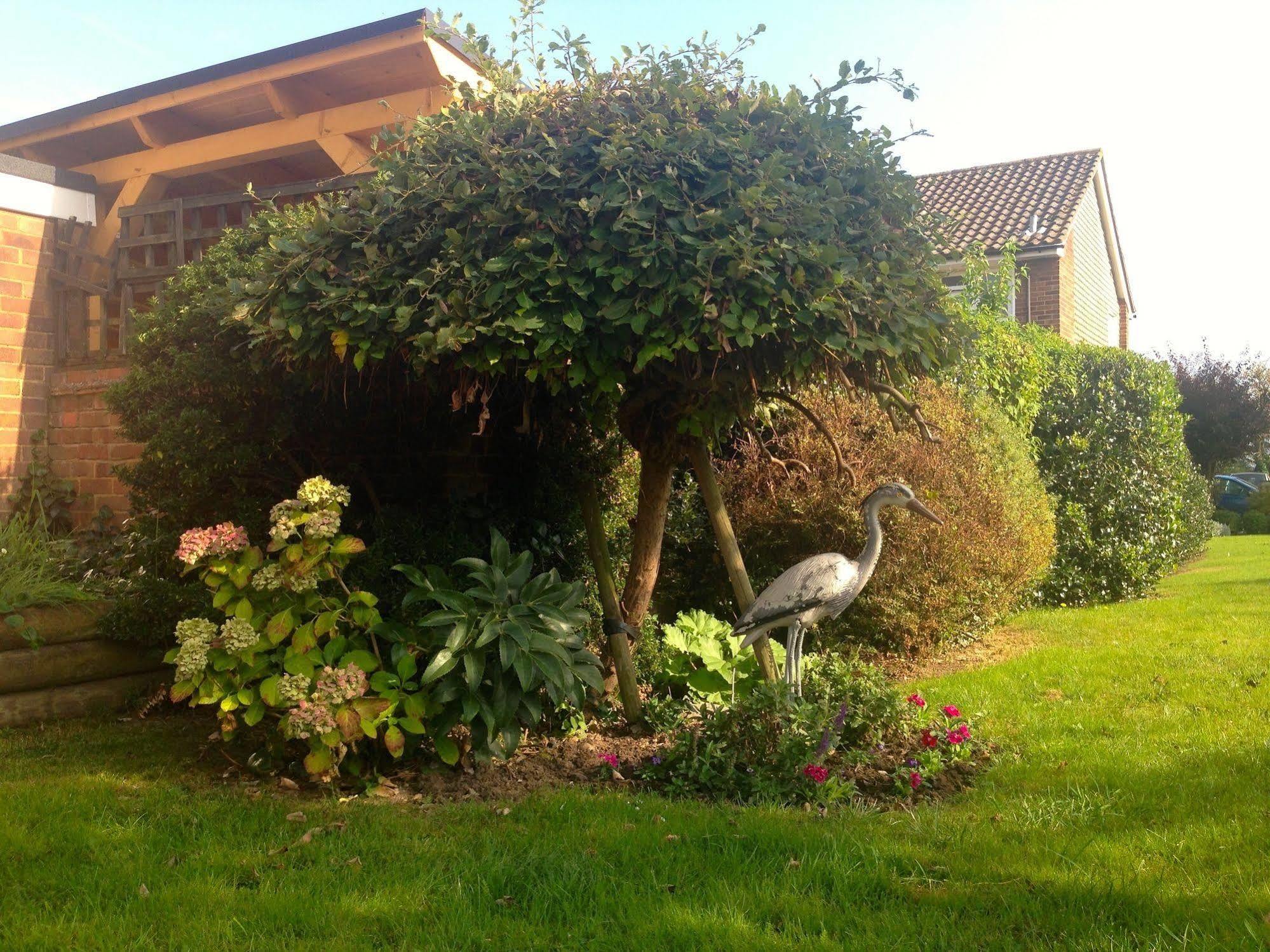 Herons Nest B&B Marlow  Exteriör bild